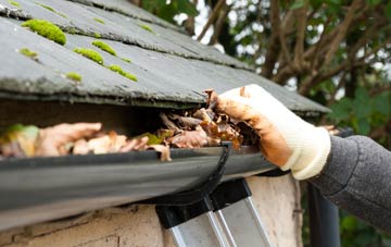gutter cleaning South Ayrshire
