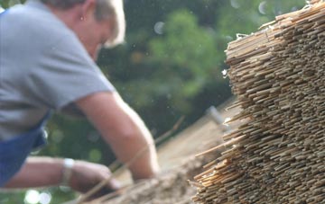 professional South Ayrshire thatchers