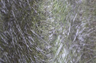 South Ayrshire fibreglass roof work